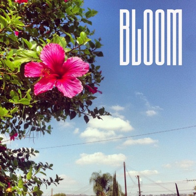 Bloom (feat. Gallo) - Single