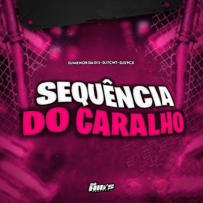 Sequência do Caralho - Single