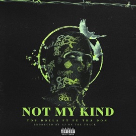 Not My Kind (feat. Topp Dolla & Fe Tha Don) A1Yayo