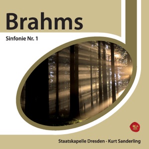 Brahms: Sinfonie Nr. 1, Tragic Overture