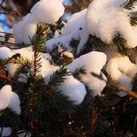 Winter Landscape - Single - SamTheDawn