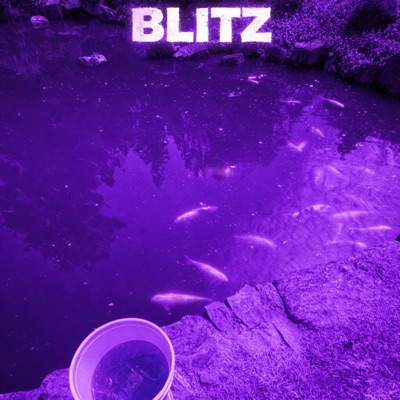 BLITZ deluxe