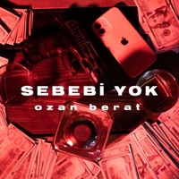 Sebebi Yok - Single - Ozan Berat