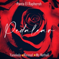 PEDALEAR - Single - Panta El Rapheroh, Yanelody, Reissel & Mc Nethall