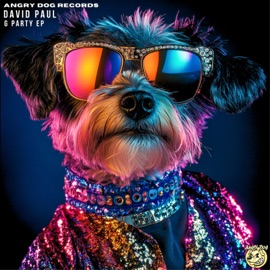 Really Want It David Paul