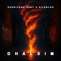 Dhalsim - Single - Hurricane Hunt