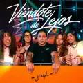 Viendote de lejos