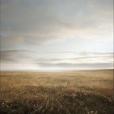 Savannah - Single
