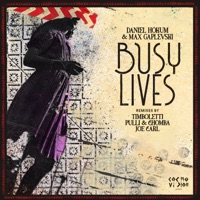 Busy Lives (Joe Carl Remix) - Single - Daniel Hokum & Max Gaplevski
