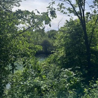 Don't Want You (feat. Heartlss) - Single - kiji