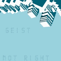 IT'S NOT RIGHT - Single - Geist