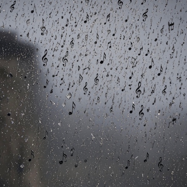 The Rain