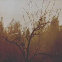 Transience (feat. Leavv) - Single - Axian