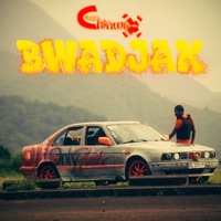 BWADJAK (feat. BUSY TWIST) - Single - DJ Chinwax