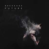 Album cover for Future (feat. Madi Lane) [Extended Mix] by Breakage