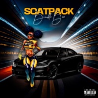 SCATPACK - EP - Bumble Bee