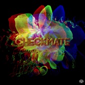 CHECKMATE artwork