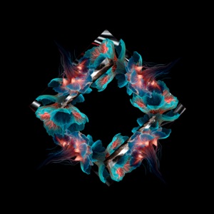 Snaps - Single