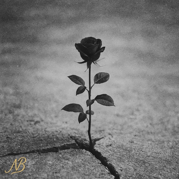 Promise of Love