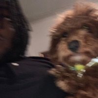 Motion (feat. MG) - Single - Jah Bandzz