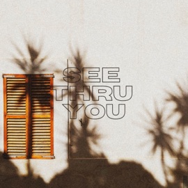 See Thru You Trevor Poole