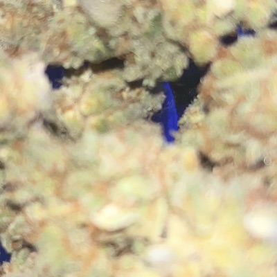 Pull Up To CB - Single