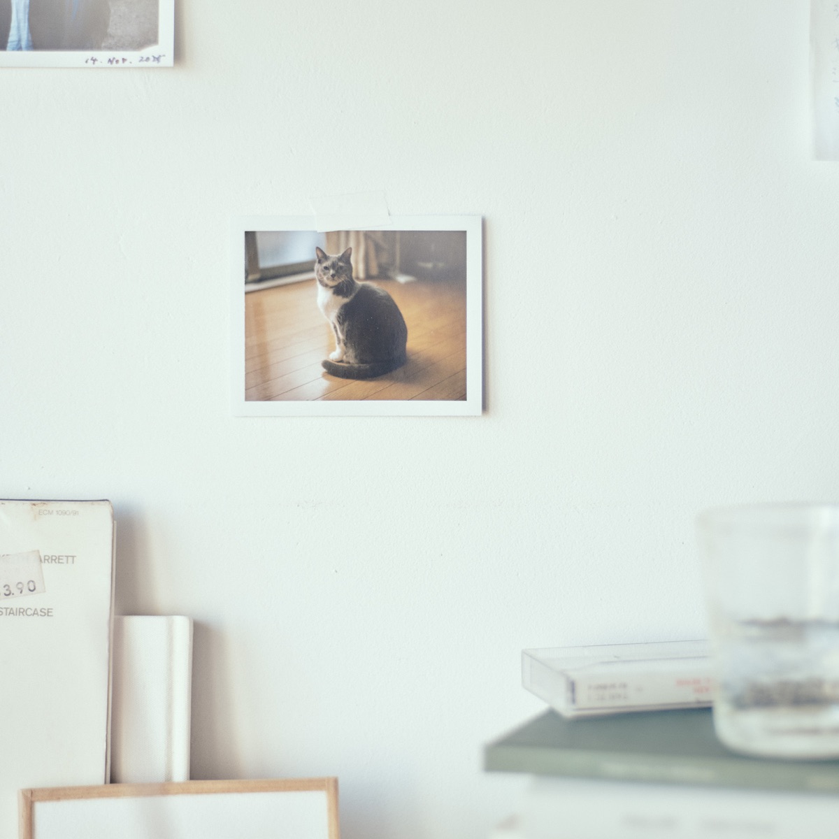 odol - slow blink (2026) [iTunes Plus AAC M4A]-新房子