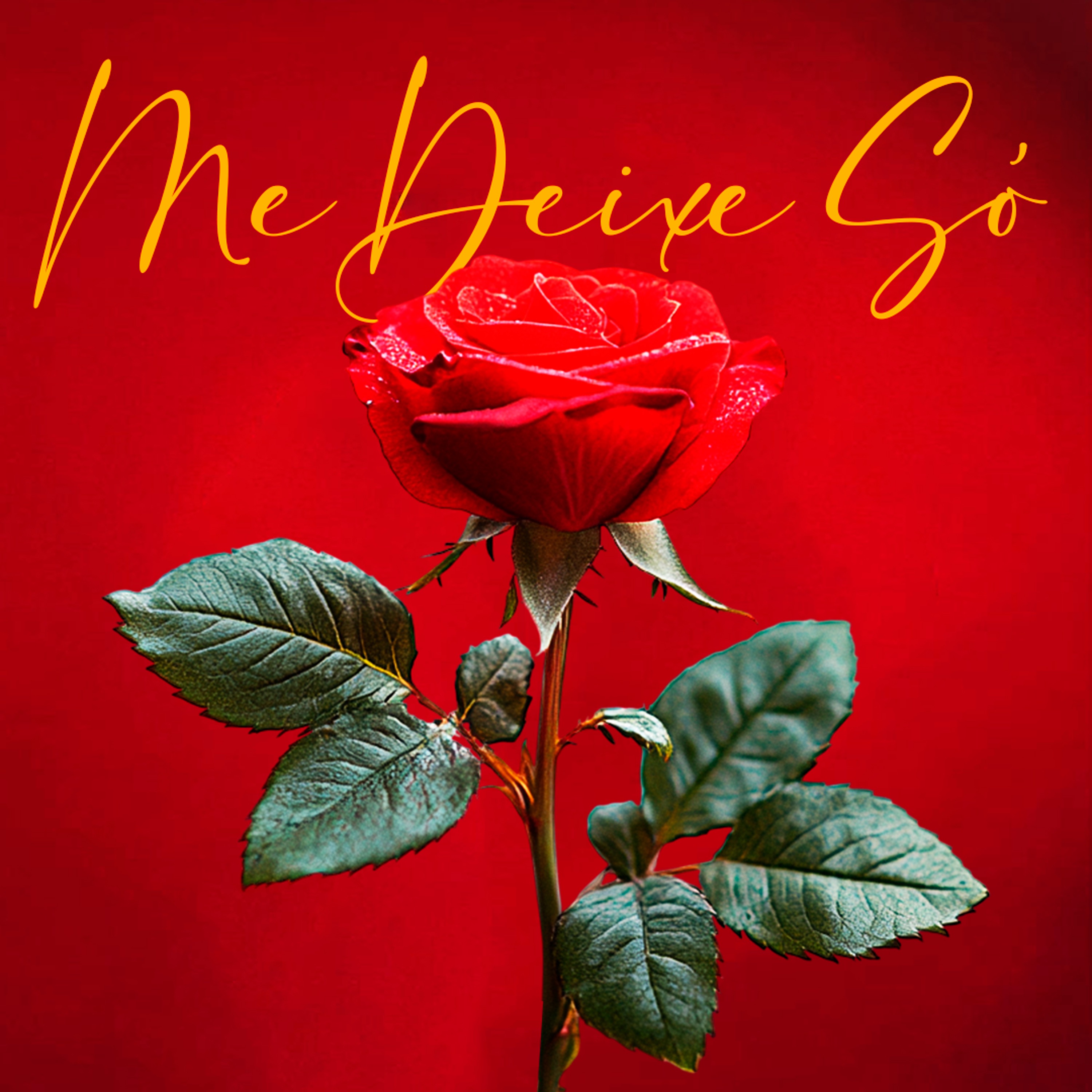 Me Deixe Só - Single