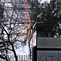 #PachucaBloodPop - Single - I<3JOMA