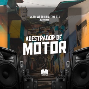 Adestrador de Motor (feat. MC B11)