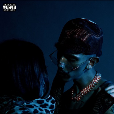 Pa' la Disco - Single