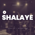 Shalaye - Single
