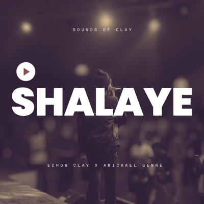 Shalaye - Single