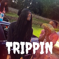 Trippin - Single - BabyJae