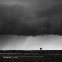 Fueguino - Single - Ignacio Boreal