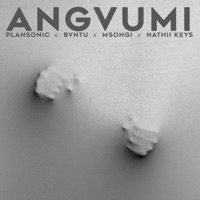 Angvumi (feat. Bvntu, Msongi & Nathii Keys) - Single - Plansonic