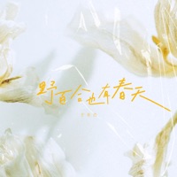 野百合也有春天 - Single - Dongran Yu