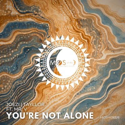 You're Not Alone artwork