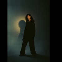 Птицы - Single - noa