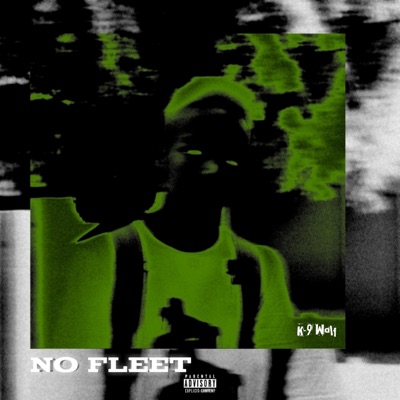 No Fleet - Single