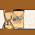 A Fly in Amber