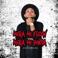 MIRA MI FLOW MIRA MI PINTA - Single - shakalaca produciendo