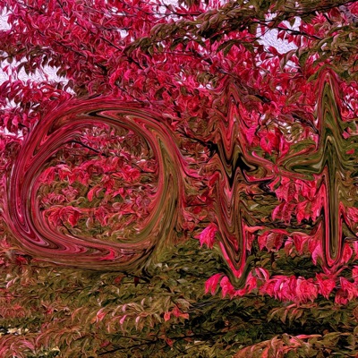 onhaus - EP