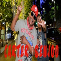 Carter Senjoo (feat. Hashi Senjoo) - Single - Lesliey Carter