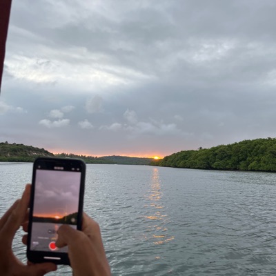 Vida Passageira - Single