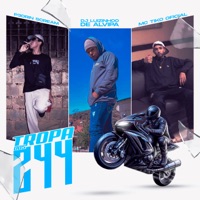 Tropa dos 244 - Single - Dj Luizinhoo De Alvipa, p3drin.scream & MC TIKO OFICIAL