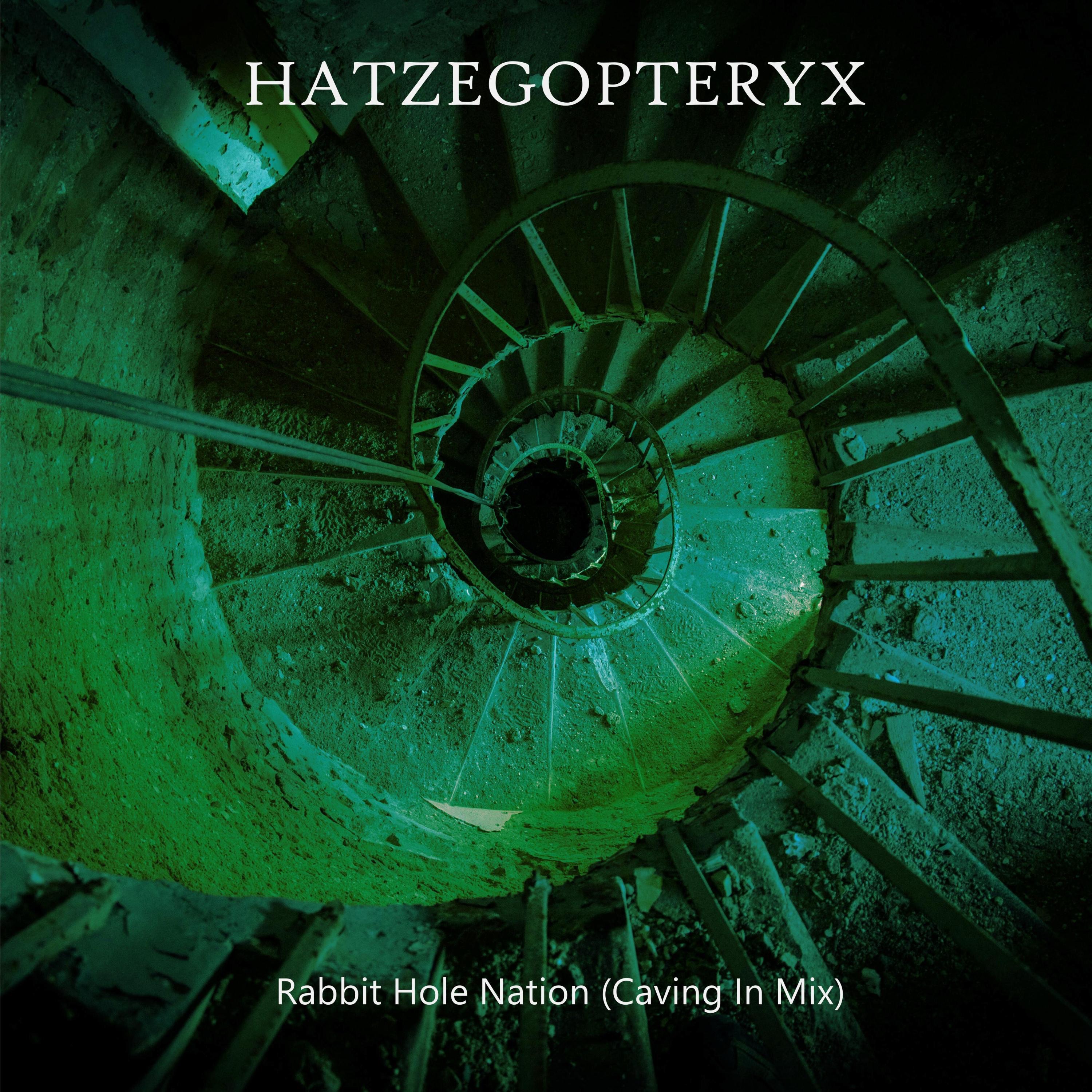 Rabbit Hole Nation (Caving In Mix) - Single