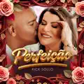 PERFEICAO