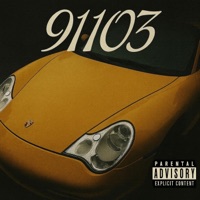 91103 (feat. Madison Arruda) - Single - L!ve