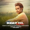 Mera Dil Tera Hua - Single